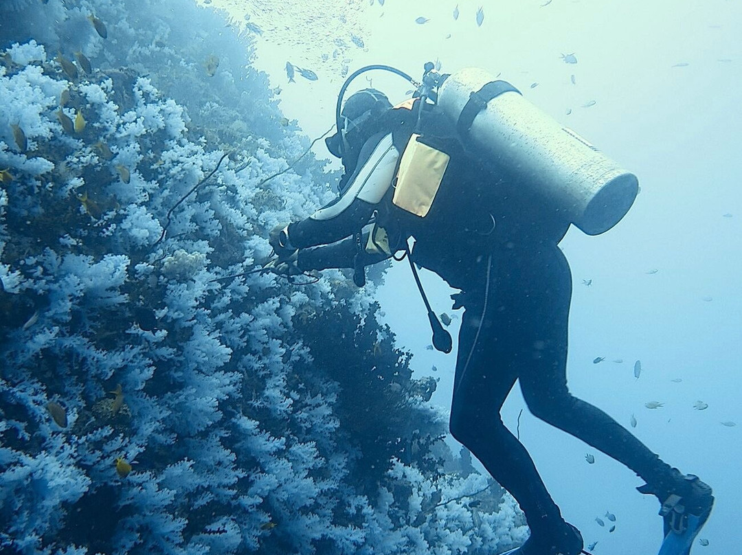 Dive Academy Fiji景点图片