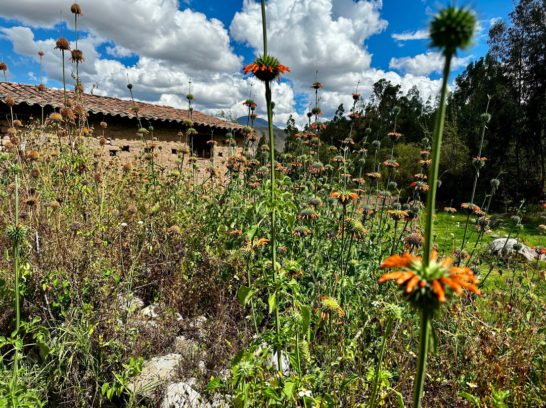 Amaru Valle Hotel主图