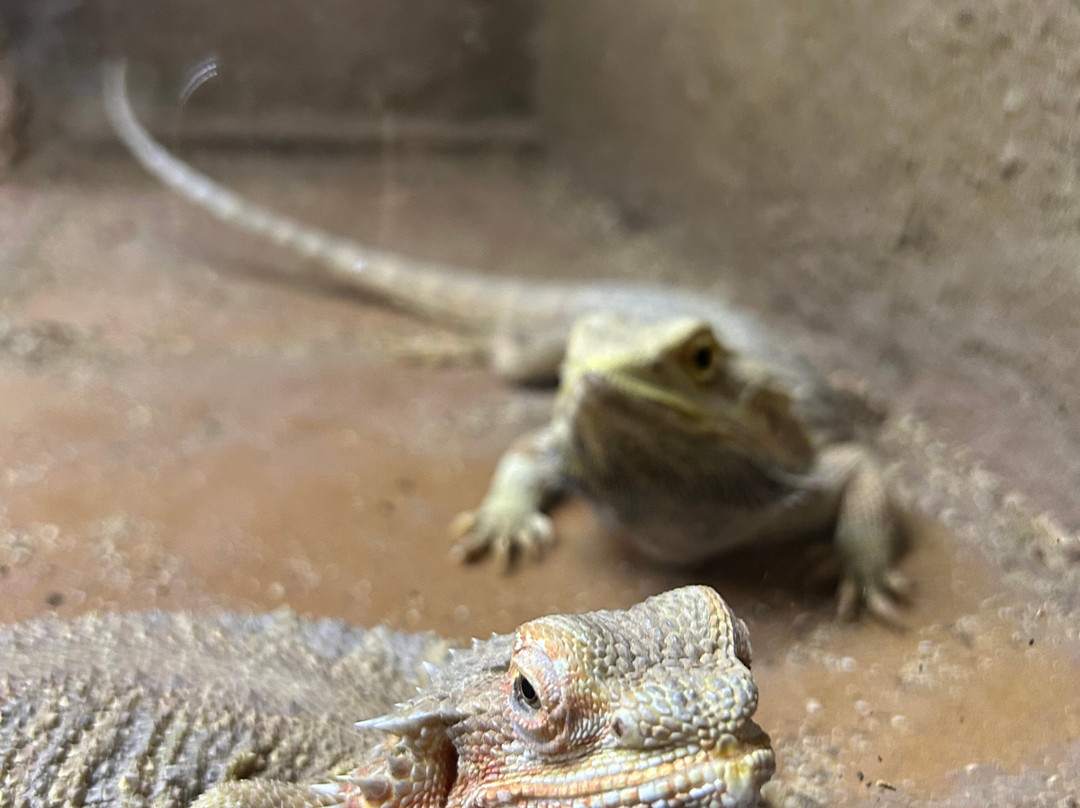 Basondo-Kortezubi必去景点