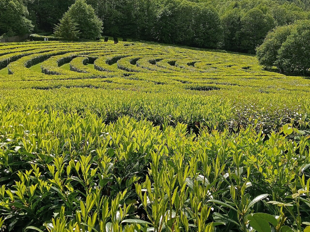 Labyrinthe Géant des Monts de Guéret-Gueret必去景点