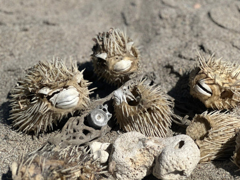 The Hook Experiences-拉巴斯必去景点