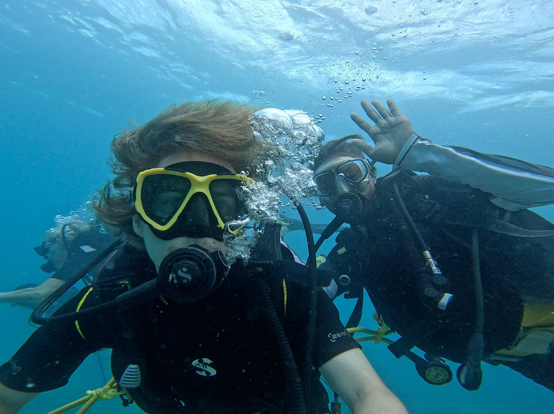 Octopus Diving Center景点图片