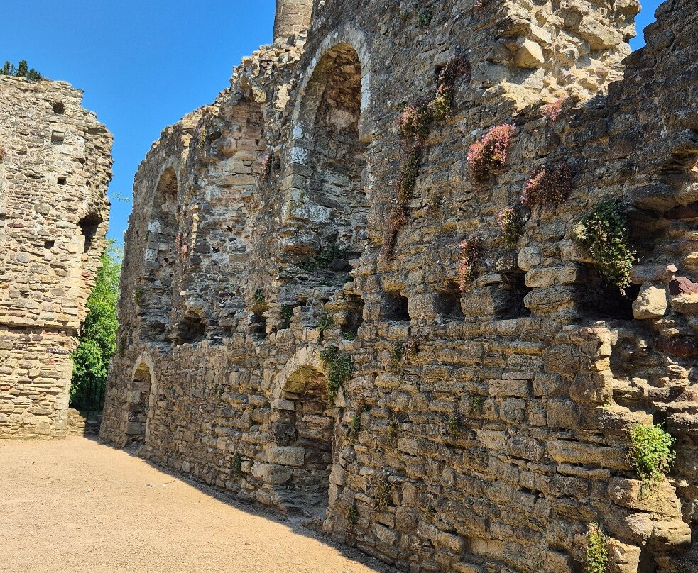 Christchurch Castle-基督城必去景点