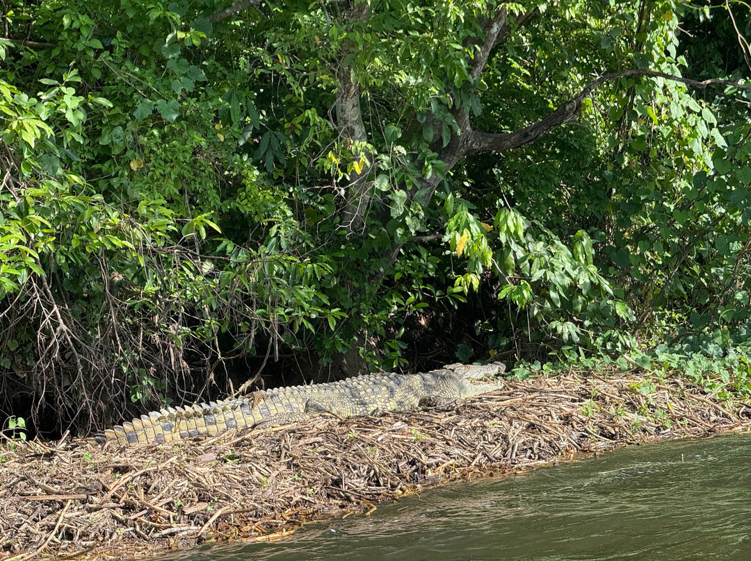 Rays Safaris-恩德培必去景点