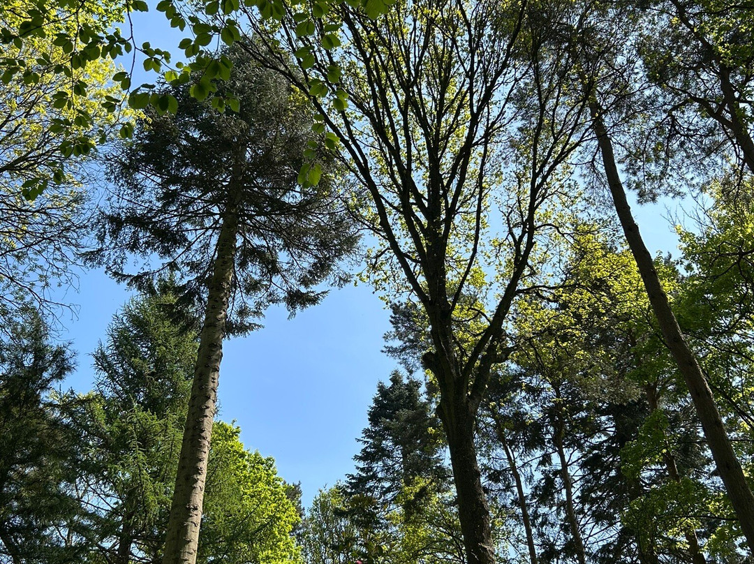 Great Comp Garden-Platt必去景点