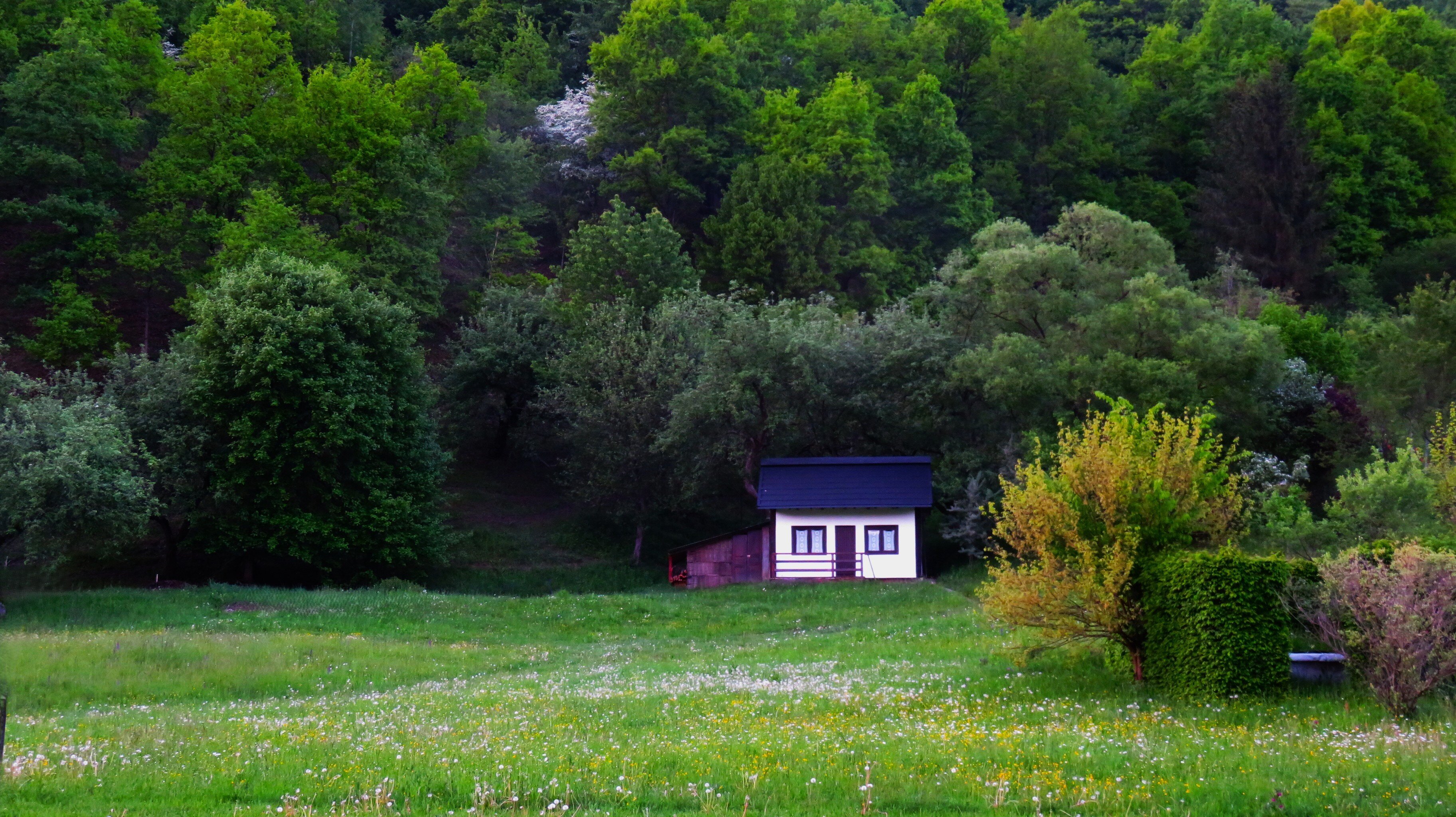 Guesthouse Doina-浴室