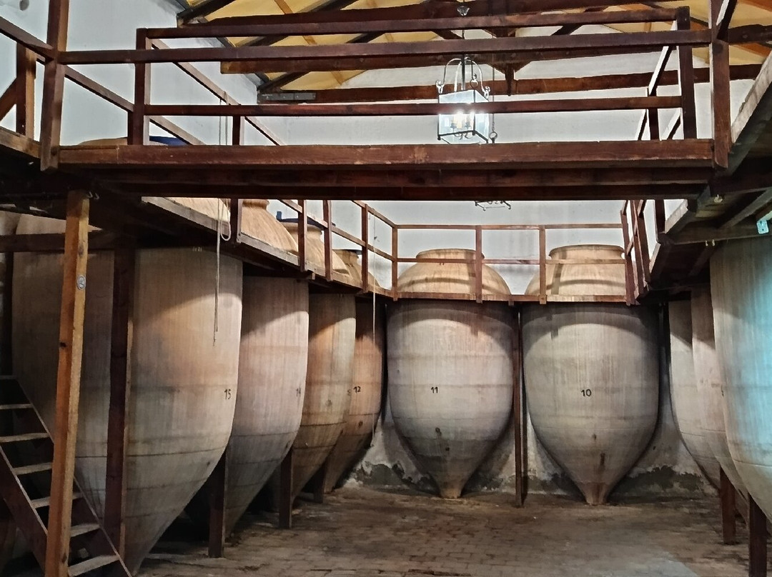 La Bodega de las Estrellas-Valdepenas必去景点