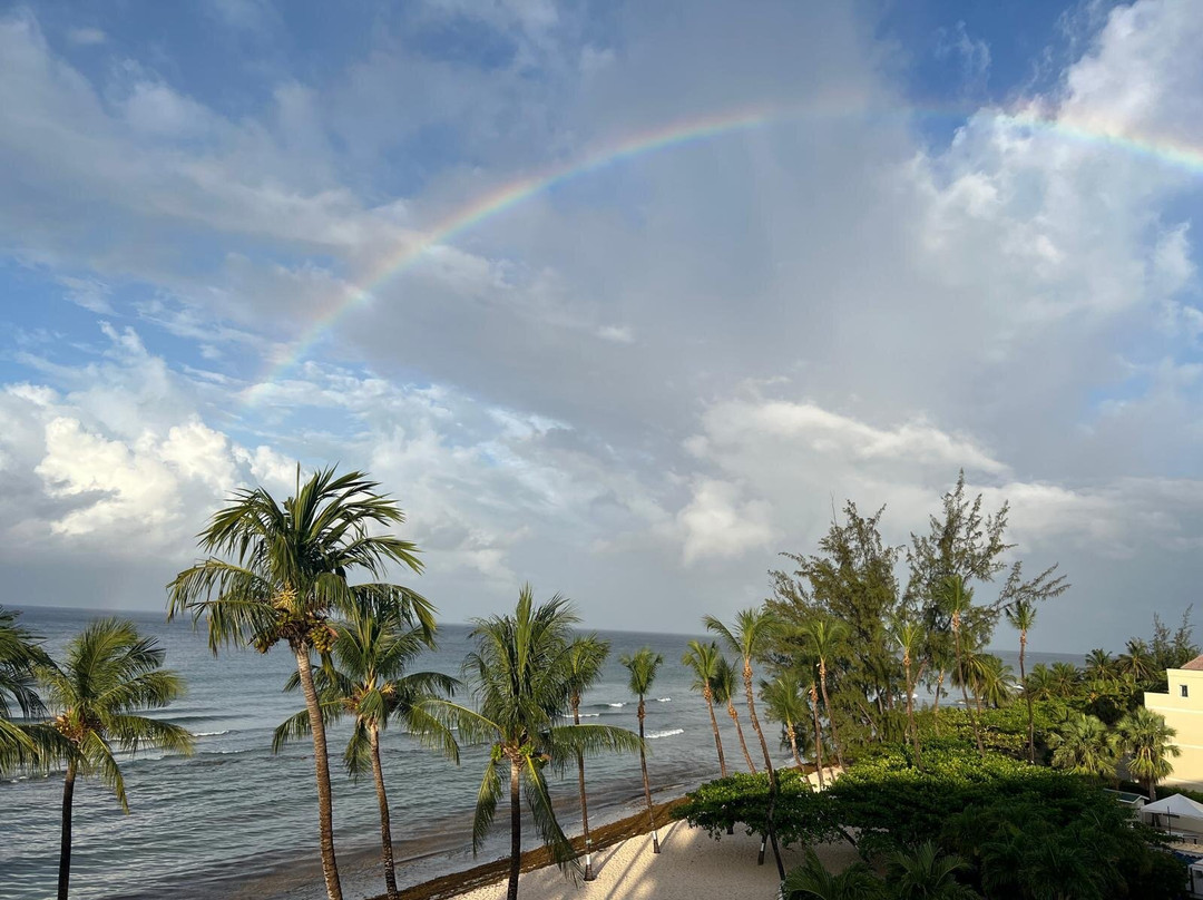 Coconut Court Beach Hotel主图