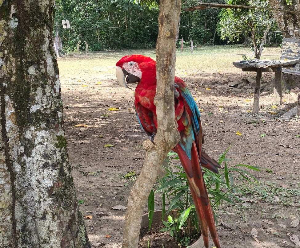 CHUCHINI Amazon Wildlife Reserve & Eco Lodge-Trinidad必去景点