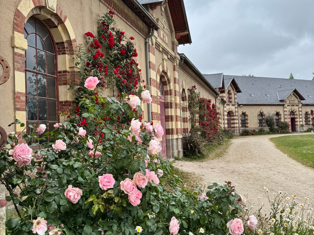Haras National de Saint-Lo景点图片