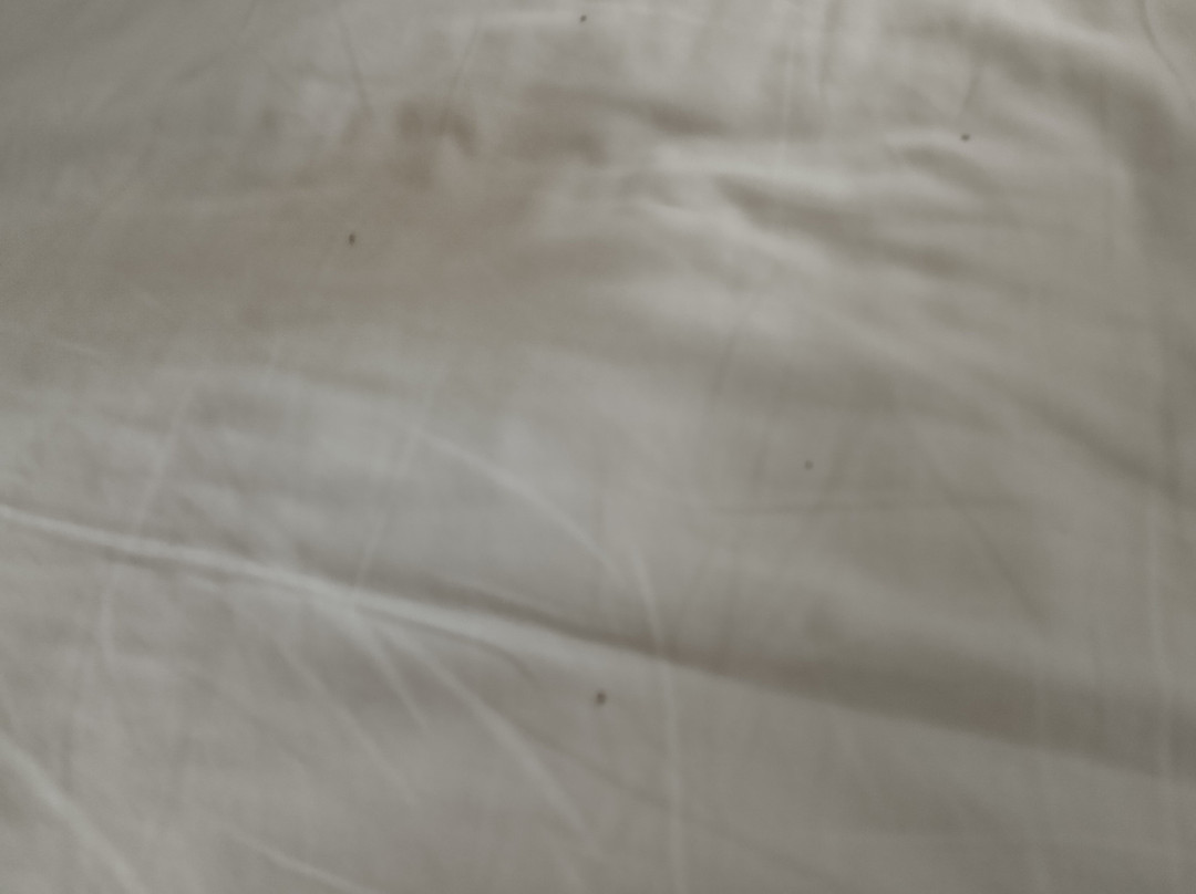 Apartamentos Livvo Morromar主图