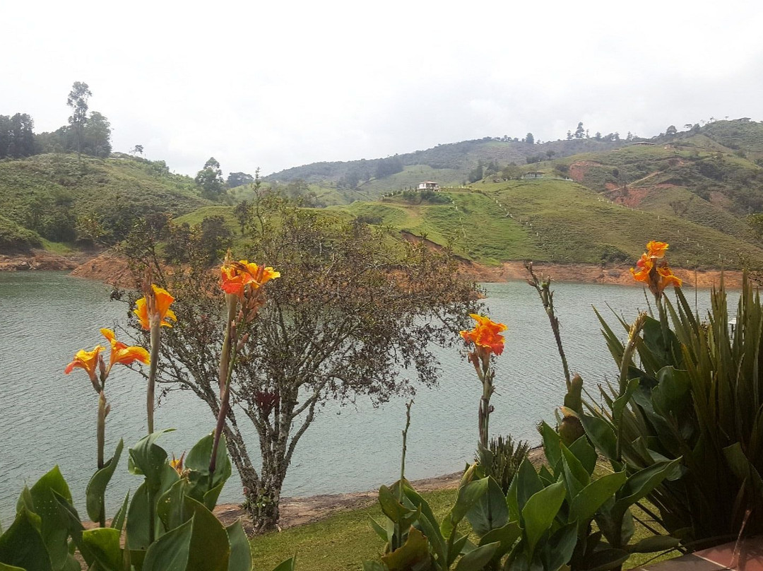 Hotel La Magdalena主图