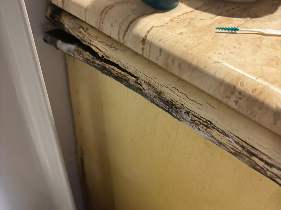 Hotel Des Etrangers主图