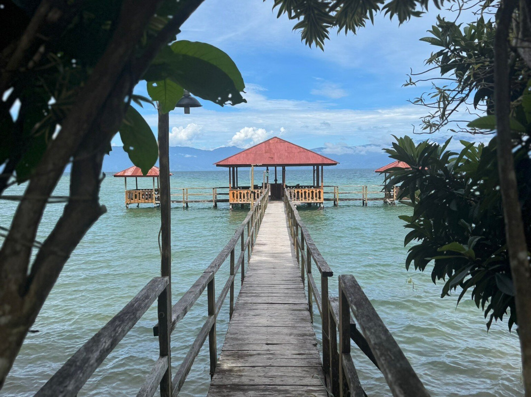 Dolidi Ndano Towale主图