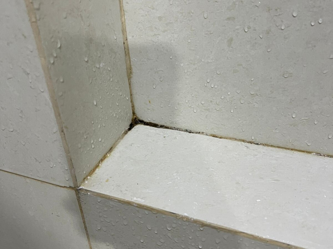 Mision Monterrey Centro Historico主图