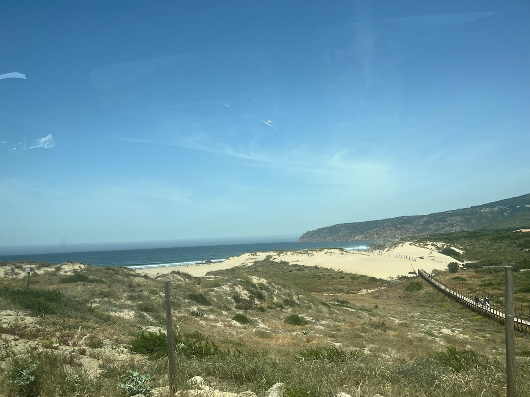 Triunfos Partilhados-埃斯托里尔必去景点