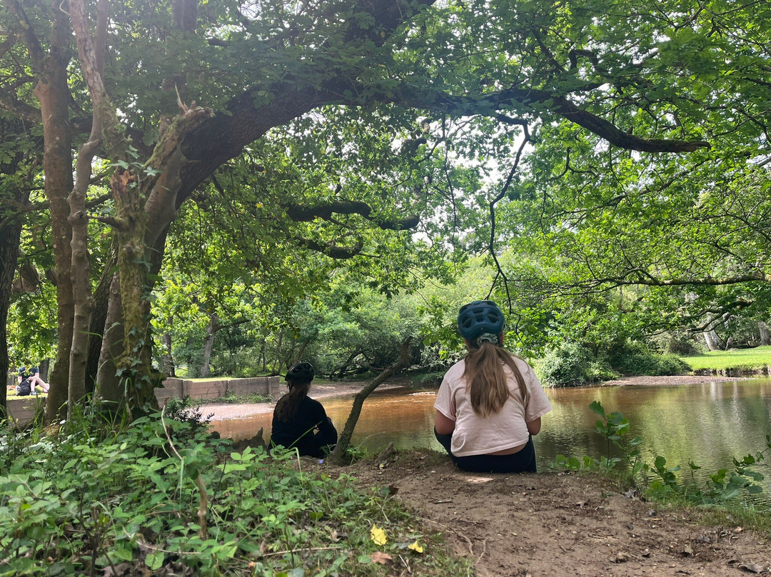 Cyclexperience (new Forest)景点图片