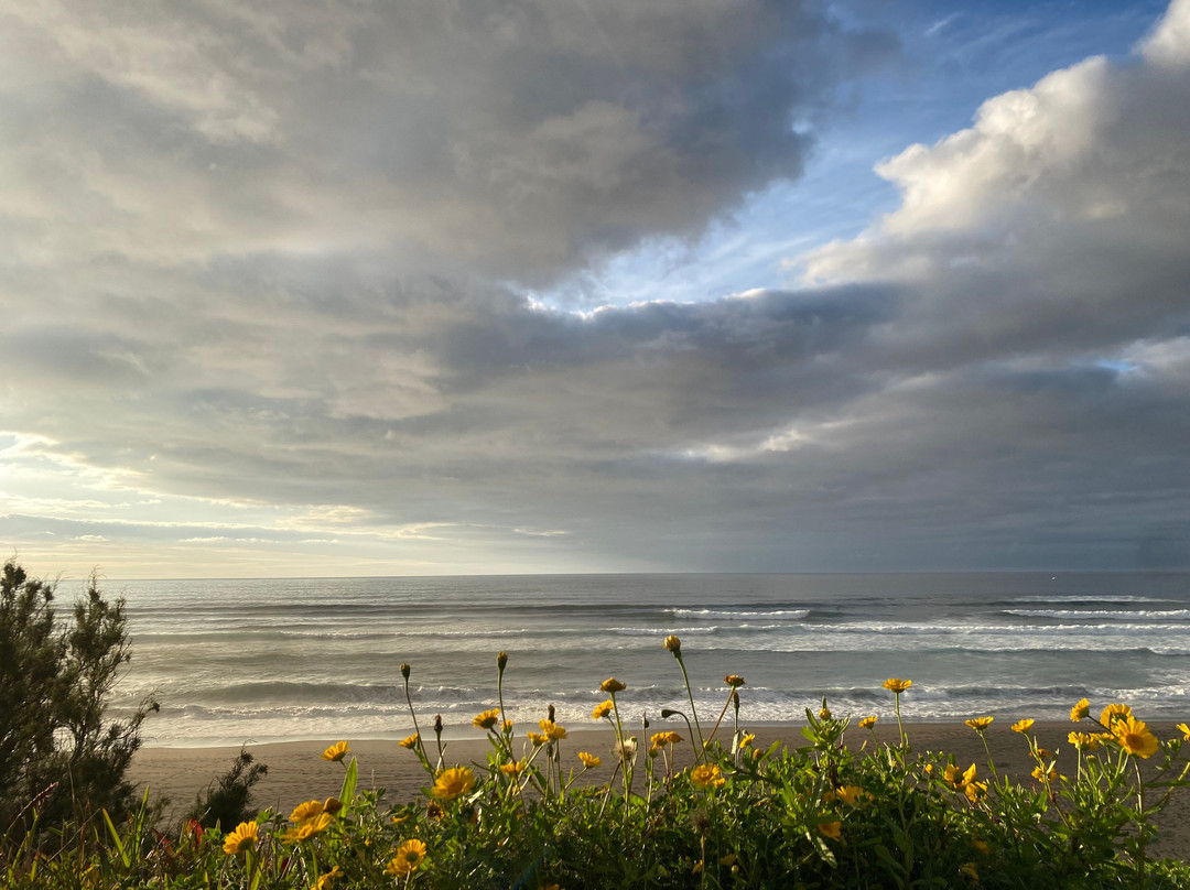 Azores Surf School-圣米格尔岛必去景点