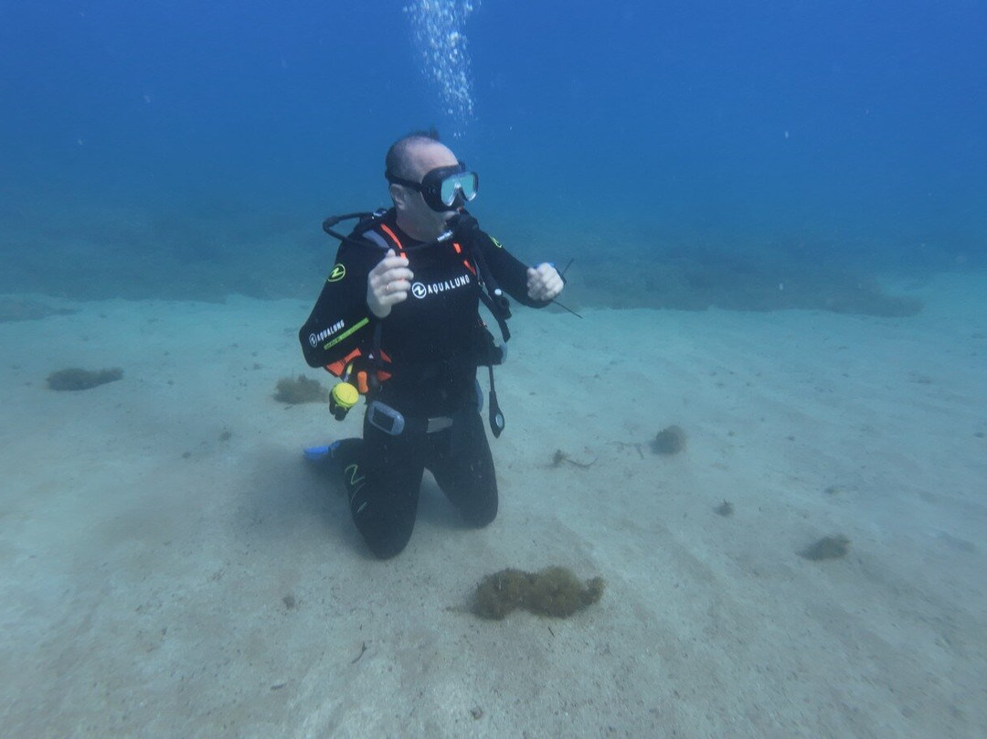 Mardays Dive & Water Experience景点图片