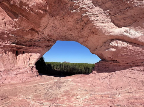 Conexão Cerrado - Turismo e Preservação-Palmas必去景点