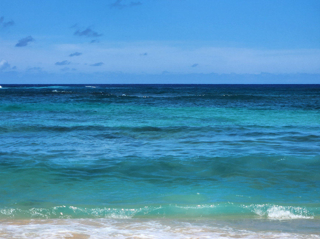 Kiahuna Beach景点图片