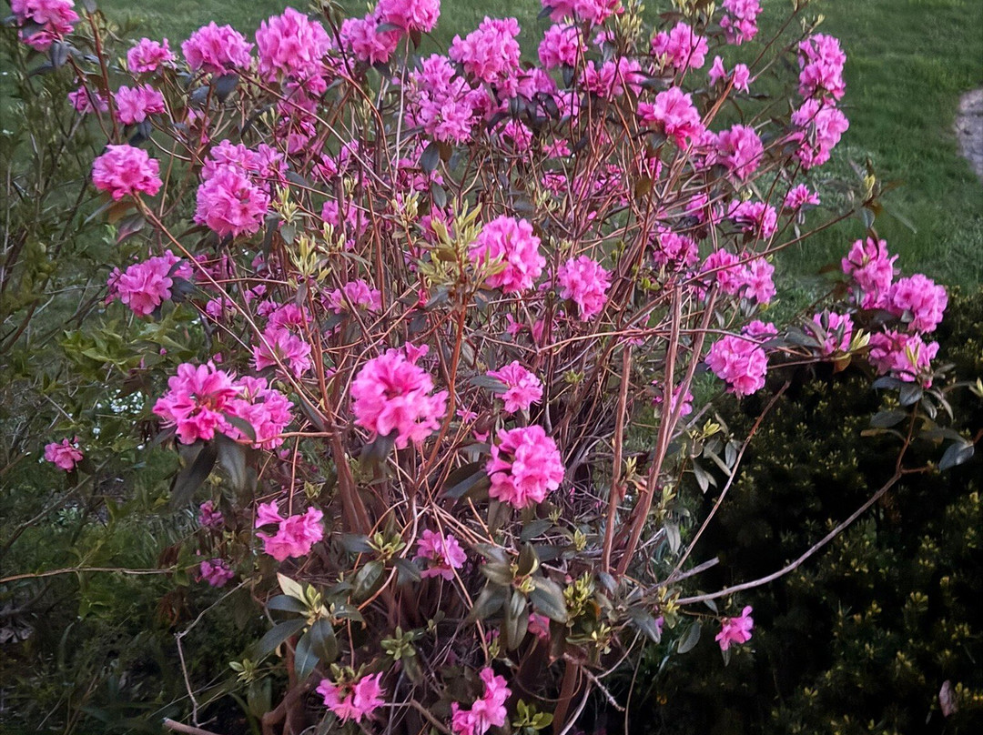 Maple Hill Farm Inn and Conference Center主图