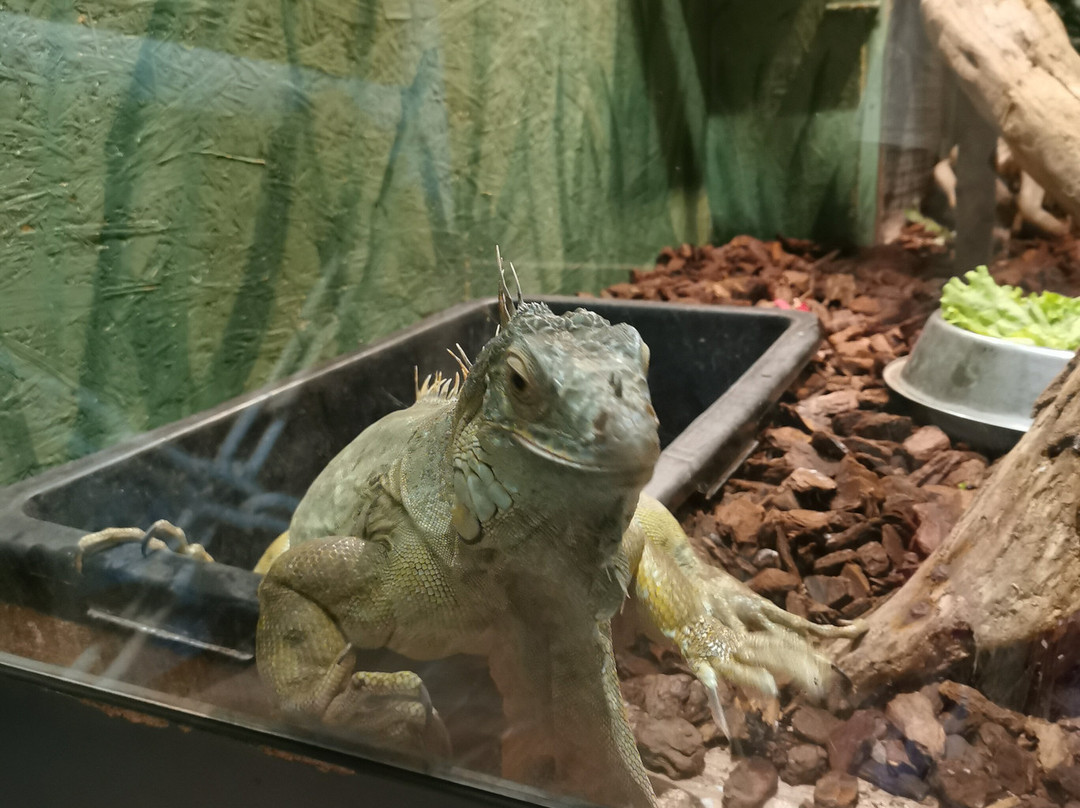 Aquarium Terrarium-克尔克必去景点