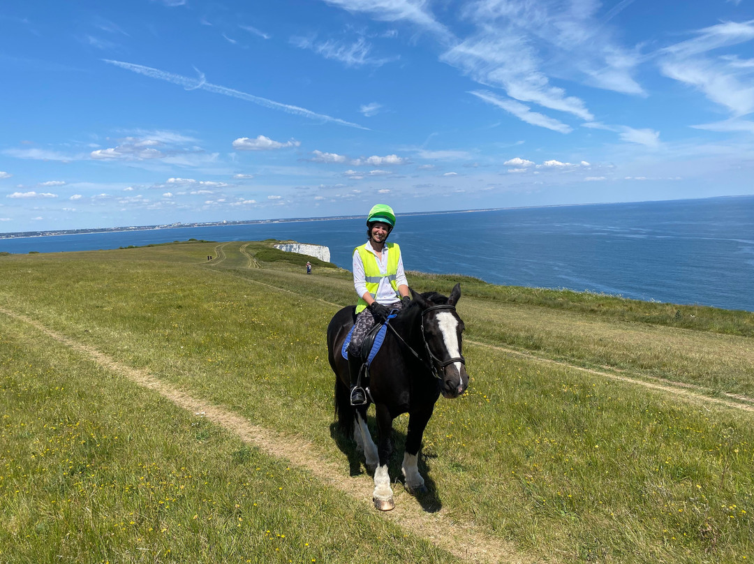 Studland Trekking Centre景点图片