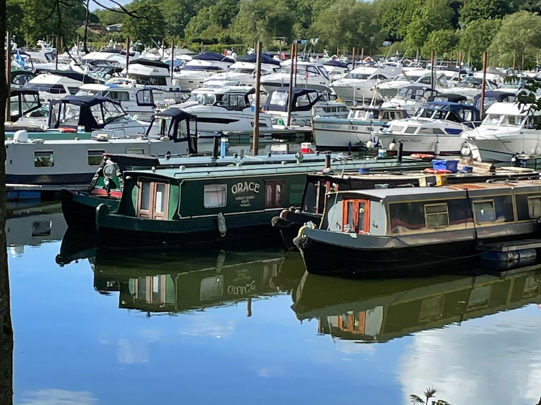 York Marina景点图片