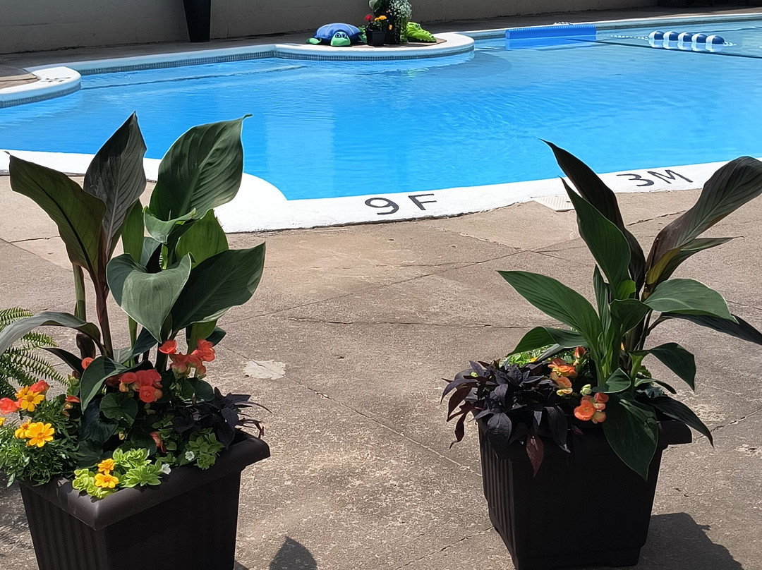 罗德蒙克顿酒店主图