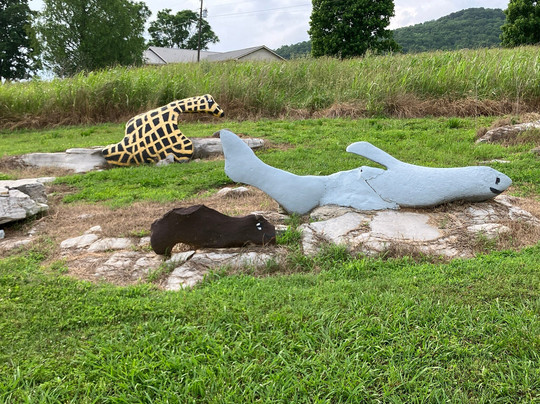 Rock Zoo-Fackler必去景点