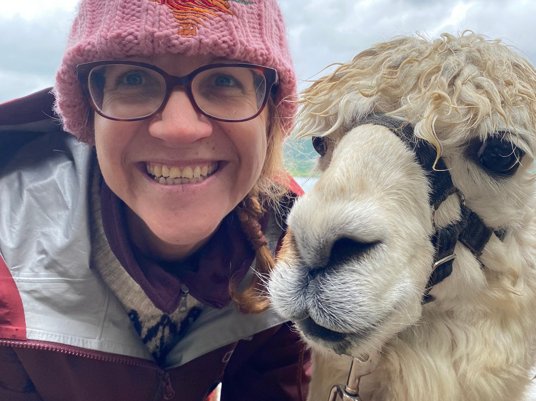 Alpacaly Ever After景点图片
