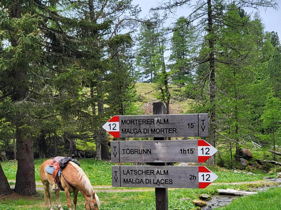 马日特勒尔霍夫酒店主图