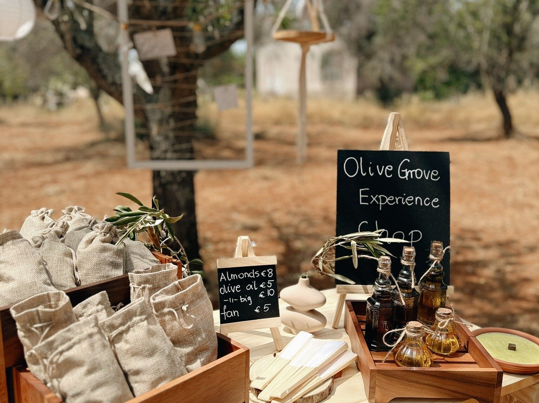 Olive Grove Experience景点图片