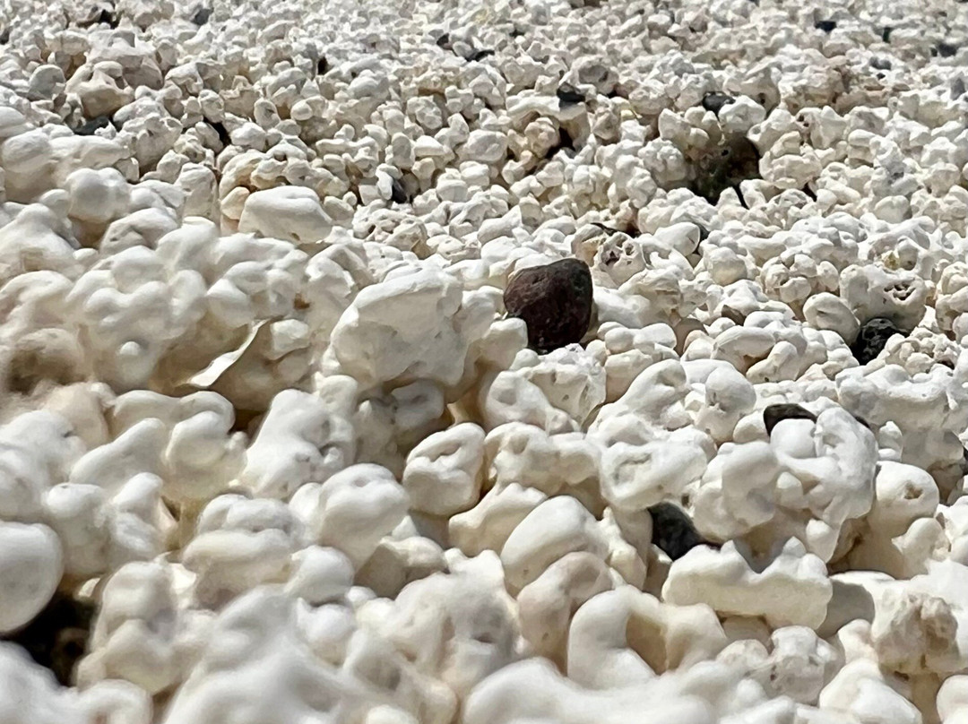 Popcorn Playa景点图片