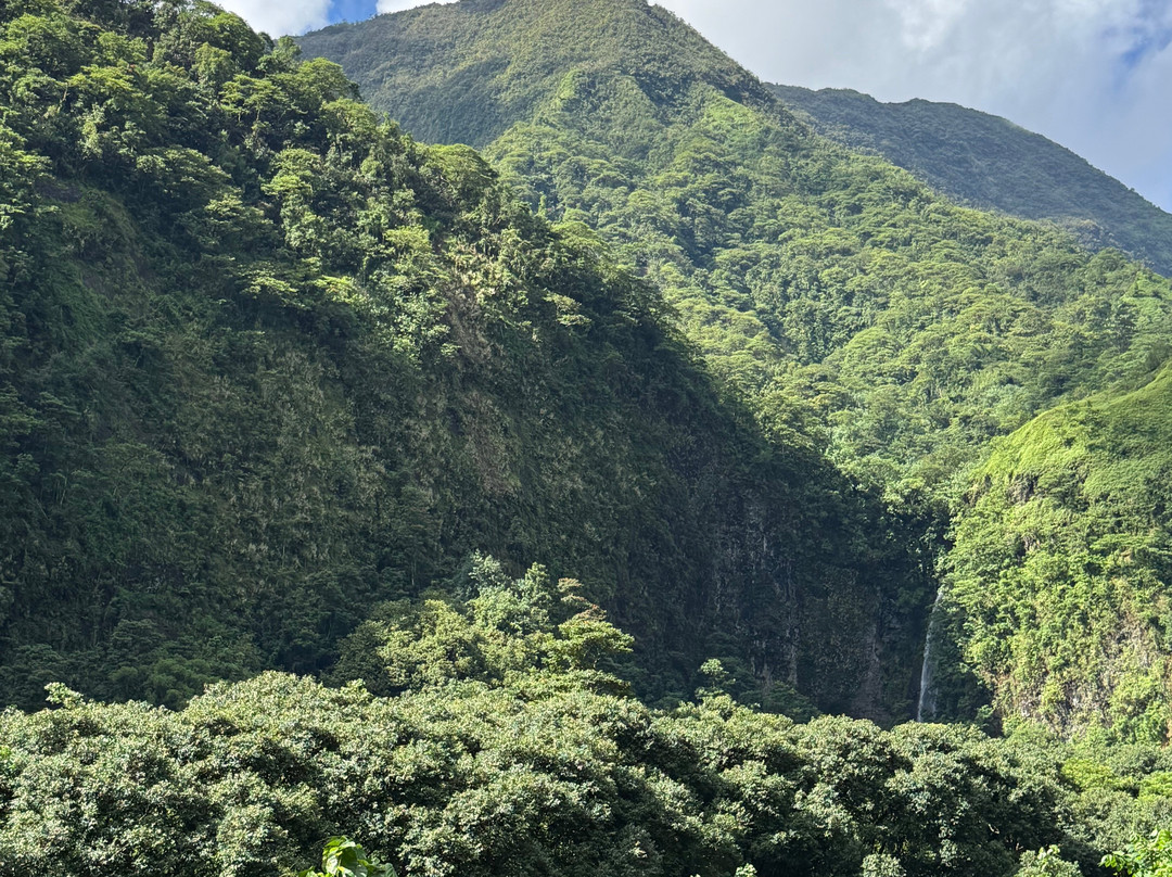 Tahiti Safari Expedition景点图片