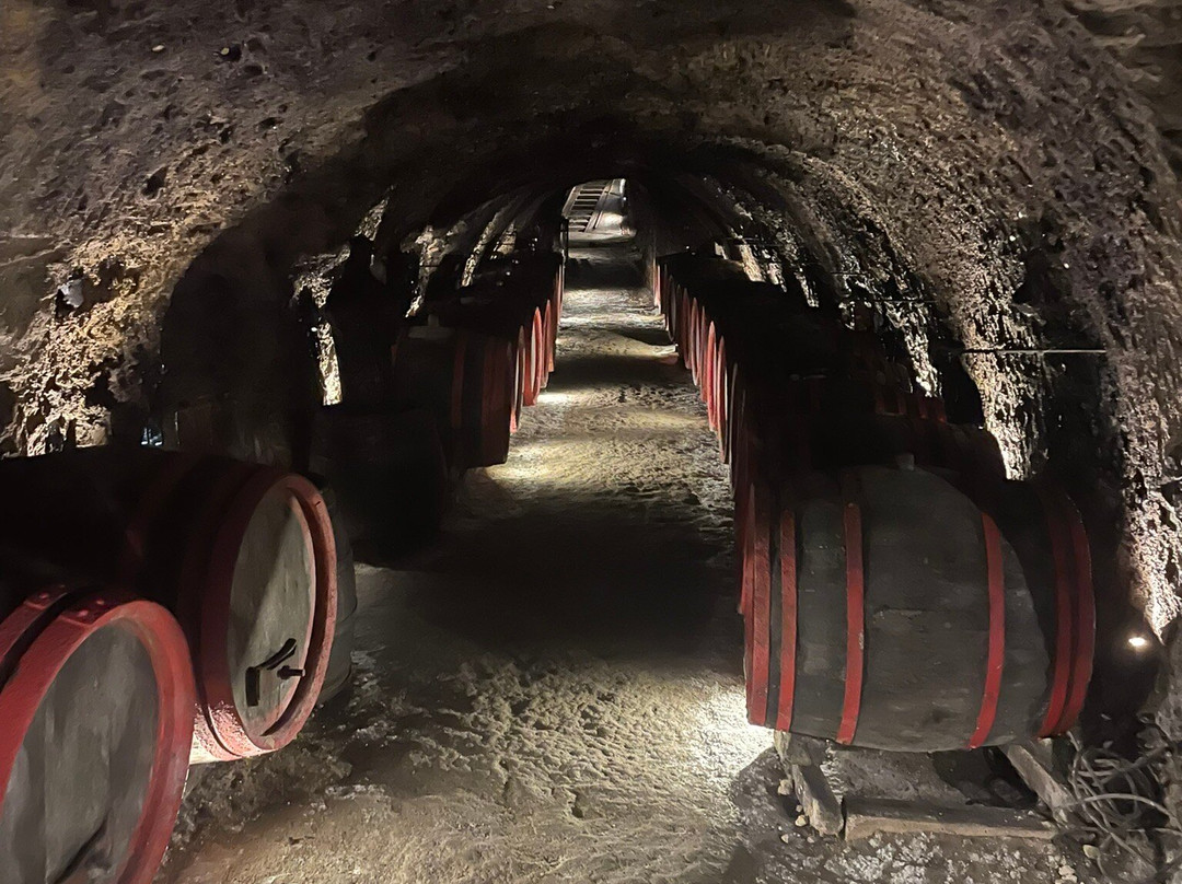 Tokaj Macik winery-Mala Trna必去景点