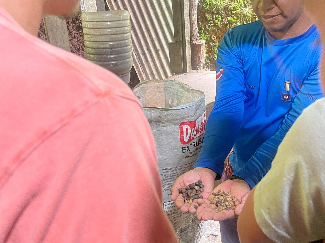 Café Don Emilio-Perez Zeledon必去景点