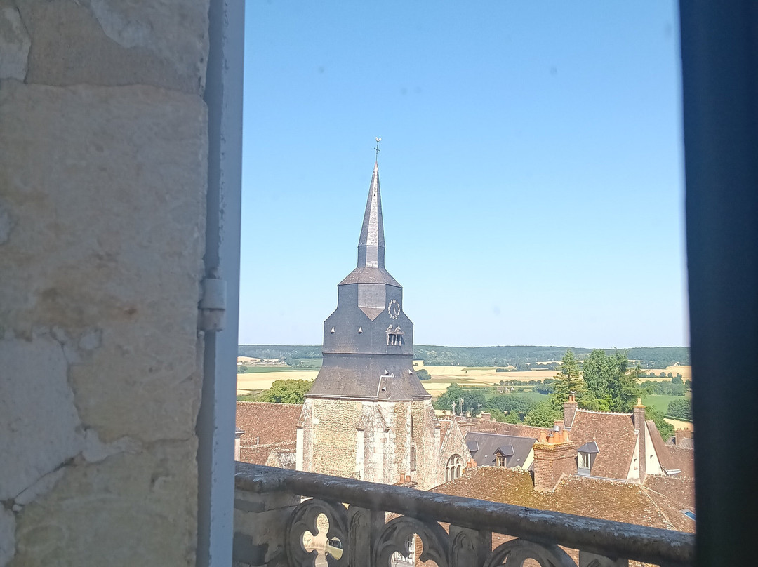 Chateau de Montmirail景点图片
