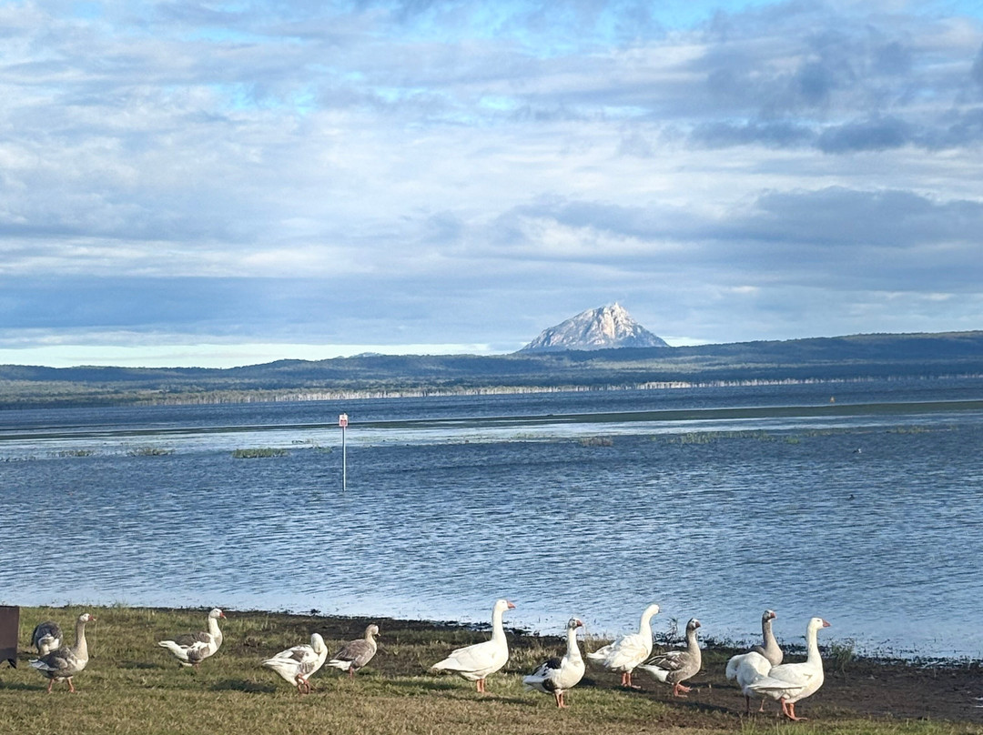 Peter Faust Dam-Proserpine必去景点