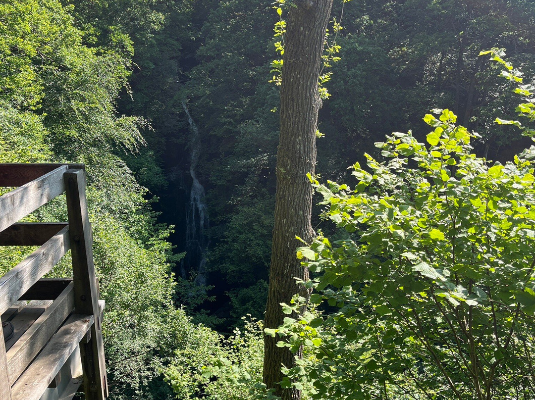 Black Spout Wood-皮特洛赫里必去景点