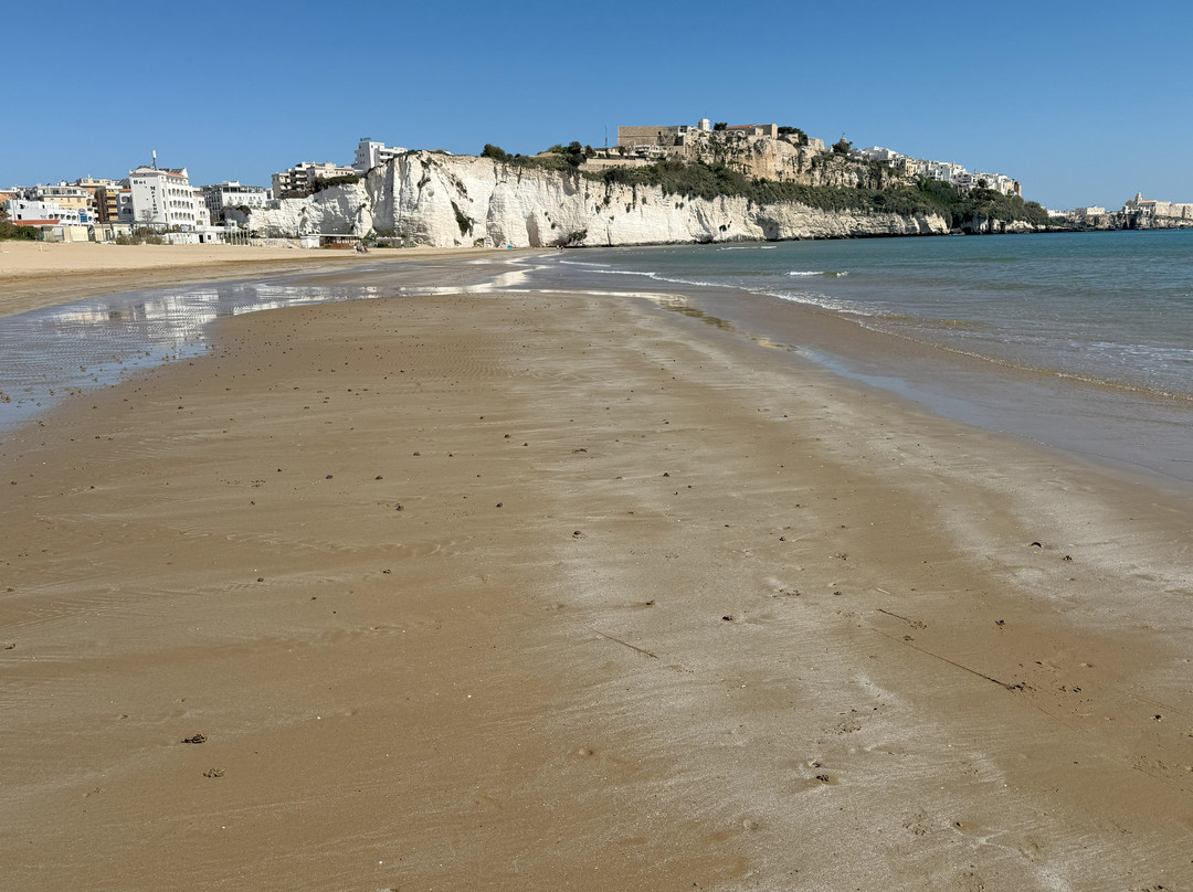 Spiaggia del Pizzomunno-维耶斯泰必去景点