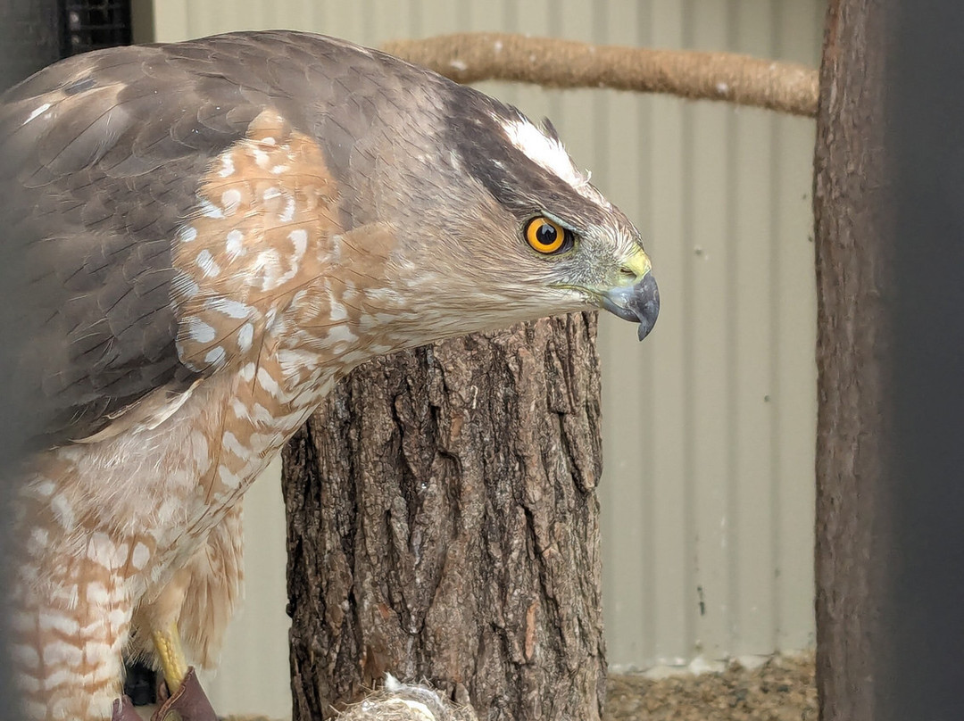 Outdoor Discovery Center-荷兰村必去景点