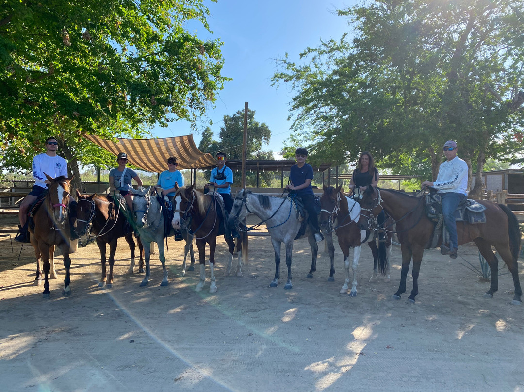 Rancho Animas-Animas Bajas必去景点