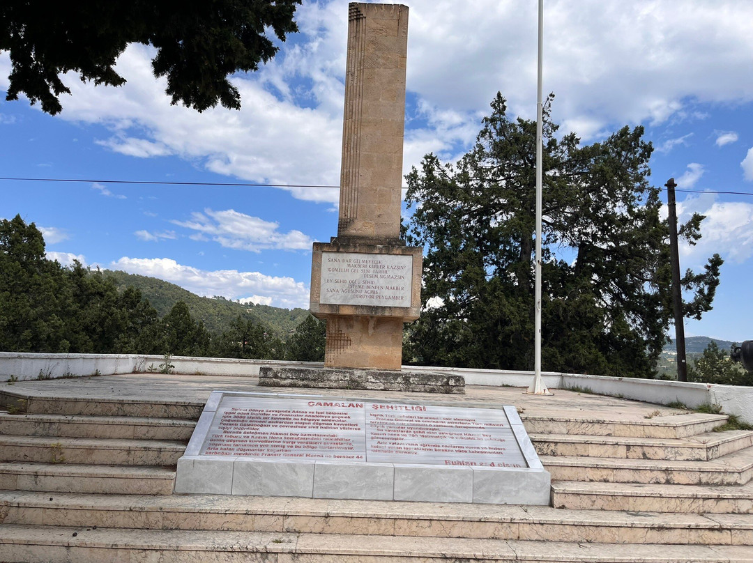 Türk Şehitliği-梅尔辛必去景点