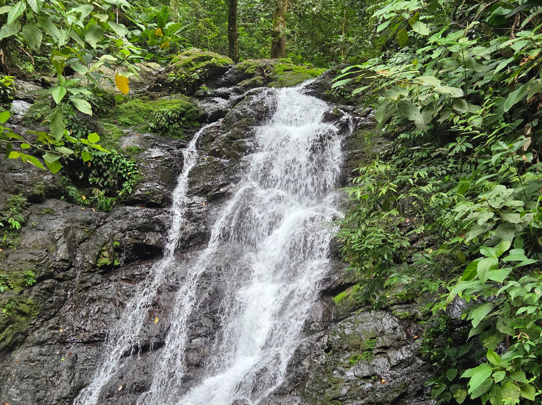 Pacheco Tours-德雷克湾必去景点