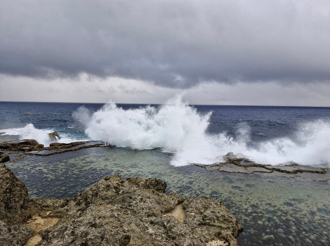 Mapu'a 'a Vaea Blowholes-Tongatapu Island必去景点