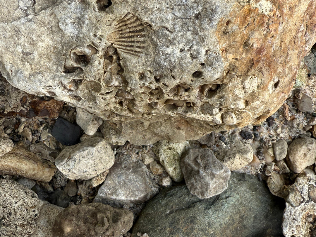 Kayak Carolina-Kure Beach必去景点