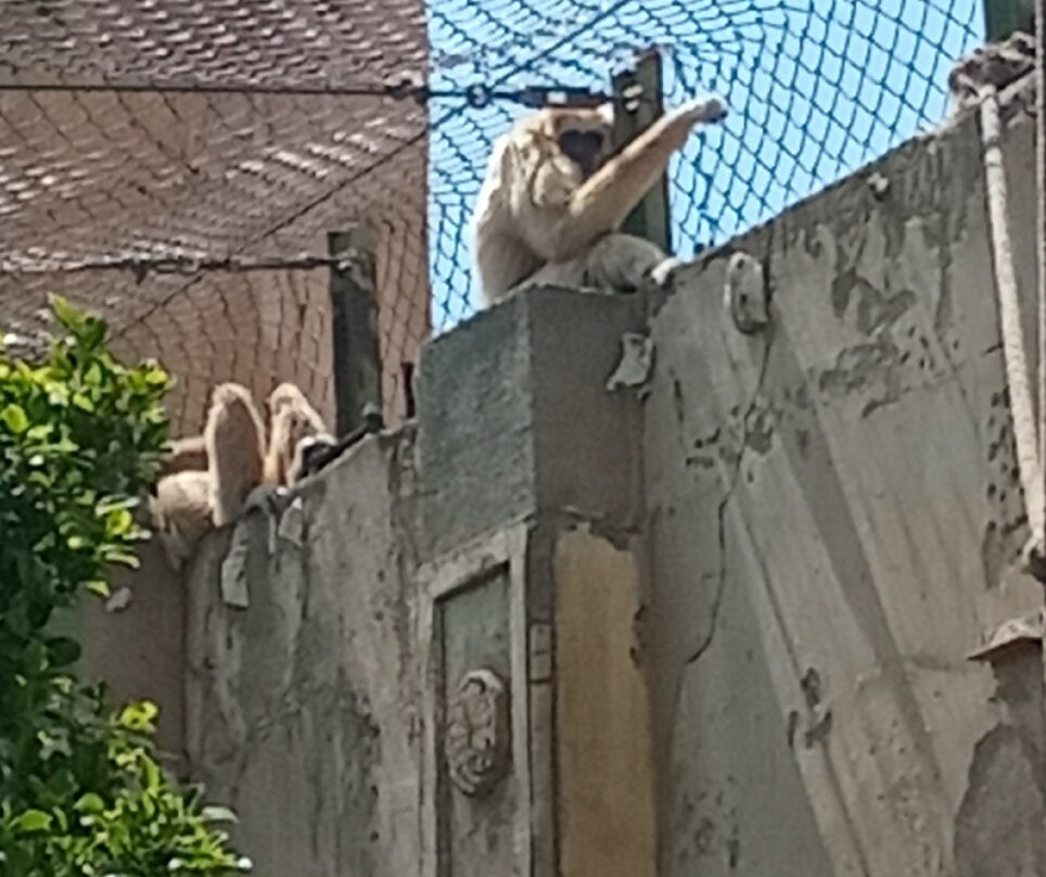 Terra Natura Benidorm-贝尼多姆必去景点