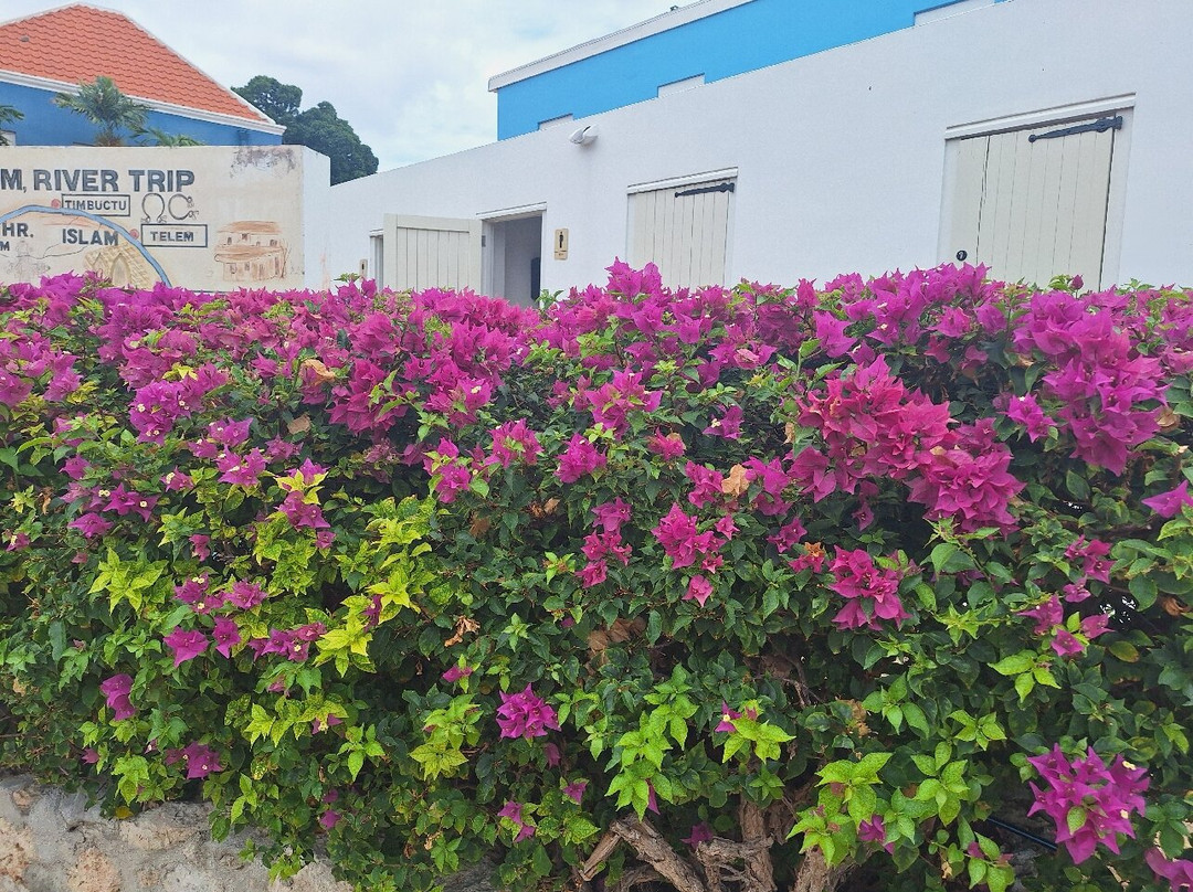 Landhuis Bona Vista主图